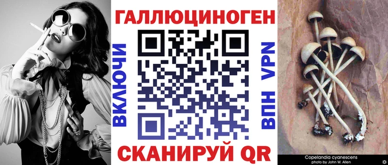 Псилоцибиновые грибы Psilocybe  где купить наркоту  Советская Гавань 